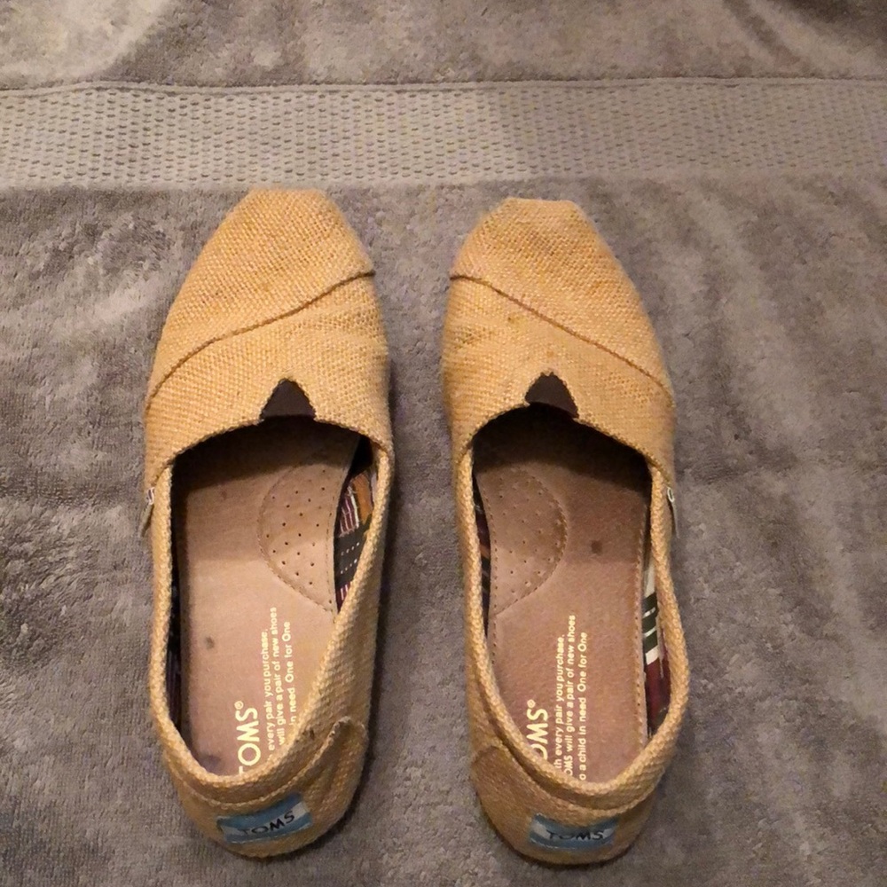 TOMS
